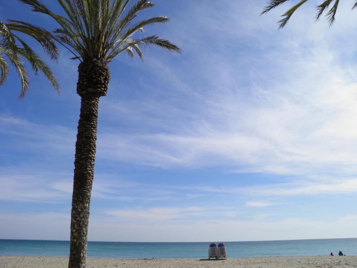 شقة Suitur Apartamento Frente A La Playa De كالافيل المظهر الخارجي الصورة